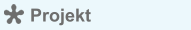 Projekt